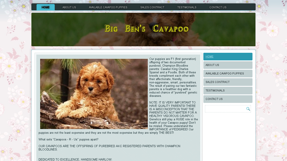 Bigbenscavapoos.com - Cavapoo Puppy Scam Review