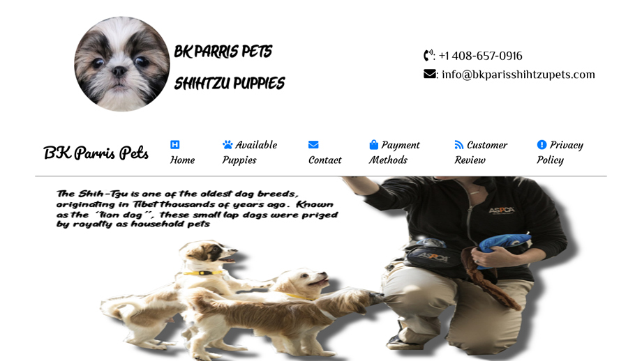 Bkparisshihtzupets.com - Shihtzu Puppy Scam Review