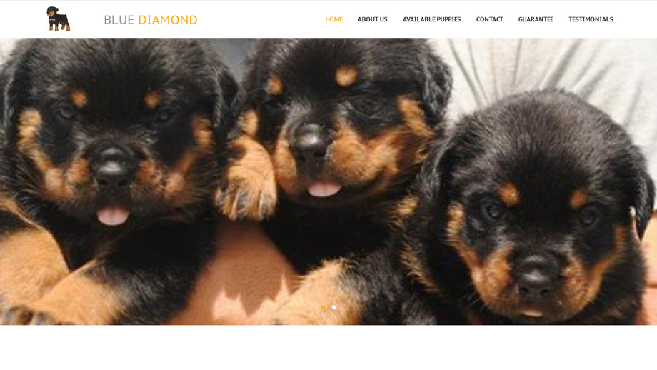 Bluediamondpuppy.com - Rottweiler Puppy Scam Review