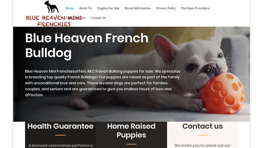 Blueheavenminifrenchies.com - French Bulldog Puppy Scam Review