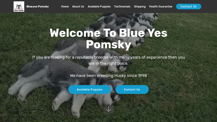 Blueyespomsky.com - Pomeranian Puppy Scam Review