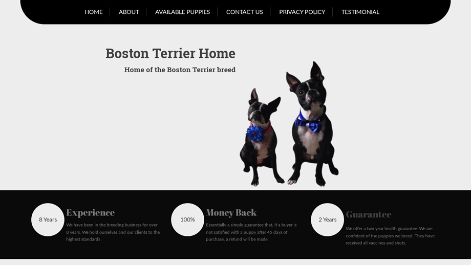 Bostonterrierhome.com - Dachshund Puppy Scam Review