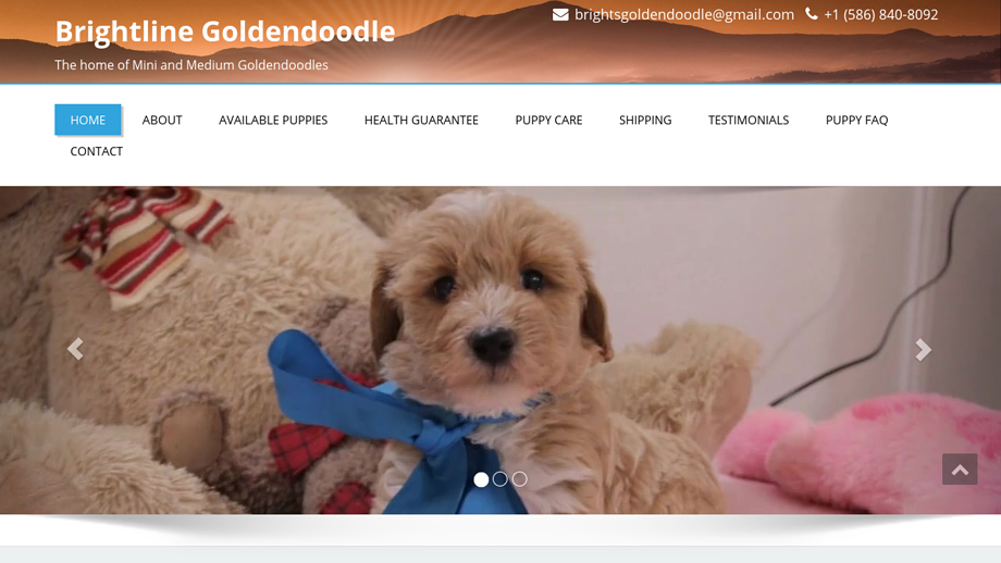 Brightgoldendoodle.com - Golden Doodle Puppy Scam Review