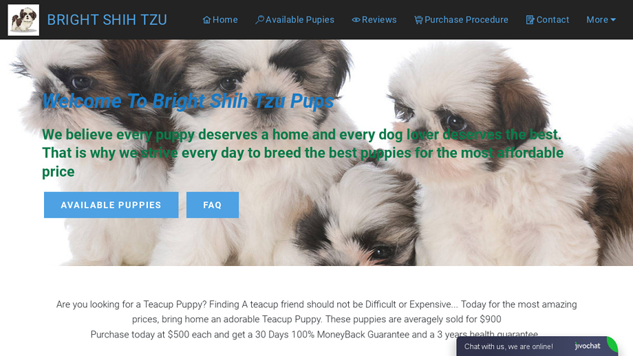 Brightpuppyhome.com - Shihtzu Puppy Scam Review