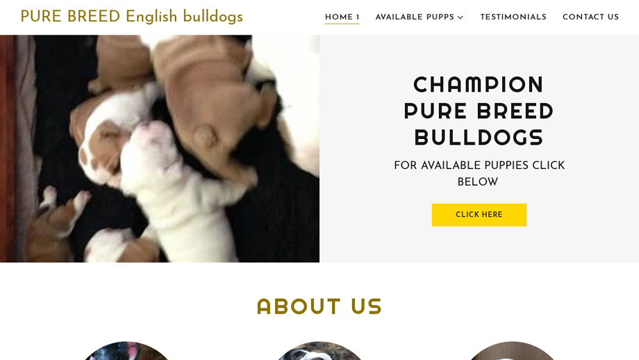 Bulldogbabieshome.com - Bulldog Puppy Scam Review