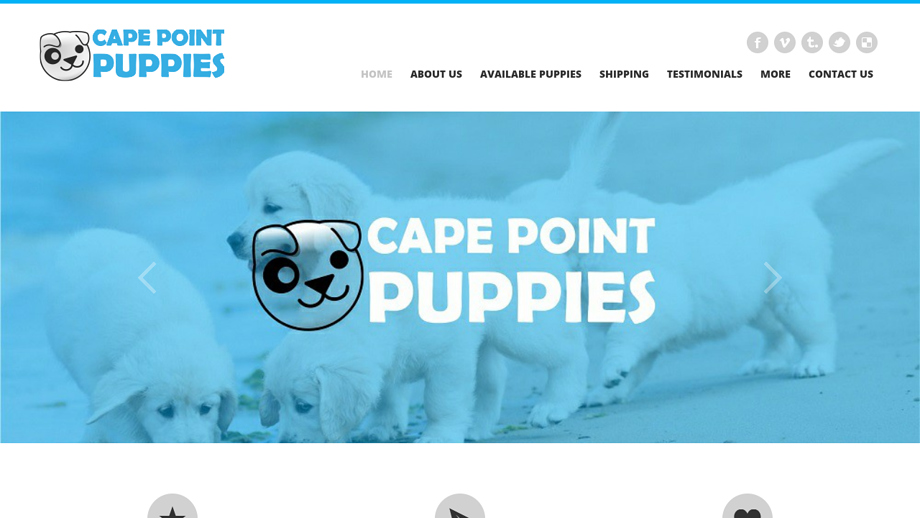 Capepointpuppies.com - Labrador Puppy Scam Review