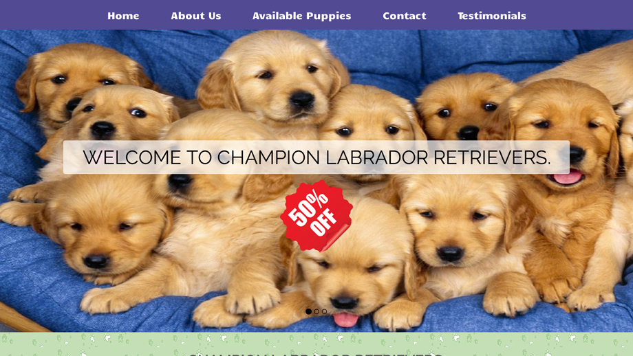 Championlabrador.com - Golden Retriever Puppy Scam Review