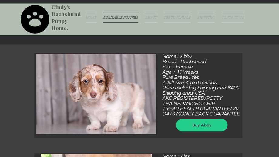 Cindydachshundpuppies.com - Dachshund Puppy Scam Review