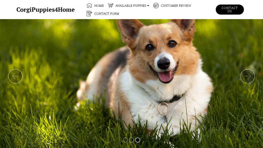 Corgipuppiesforhome.com - Corgi Puppy Scam Review