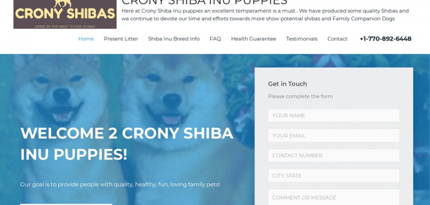 Review Of Cronyshibainupuppiescom Puppyscamcom