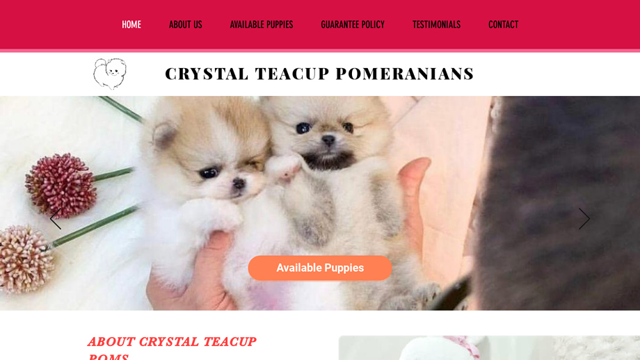 Crystalteacuppoms.com - Pomeranian Puppy Scam Review