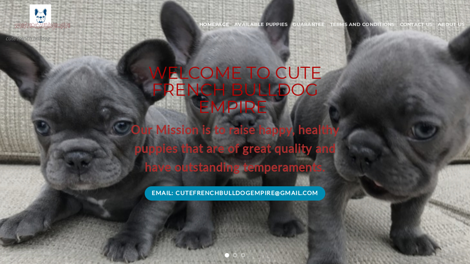 Cutefrenchbulldogempire.com - French Bulldog Puppy Scam Review