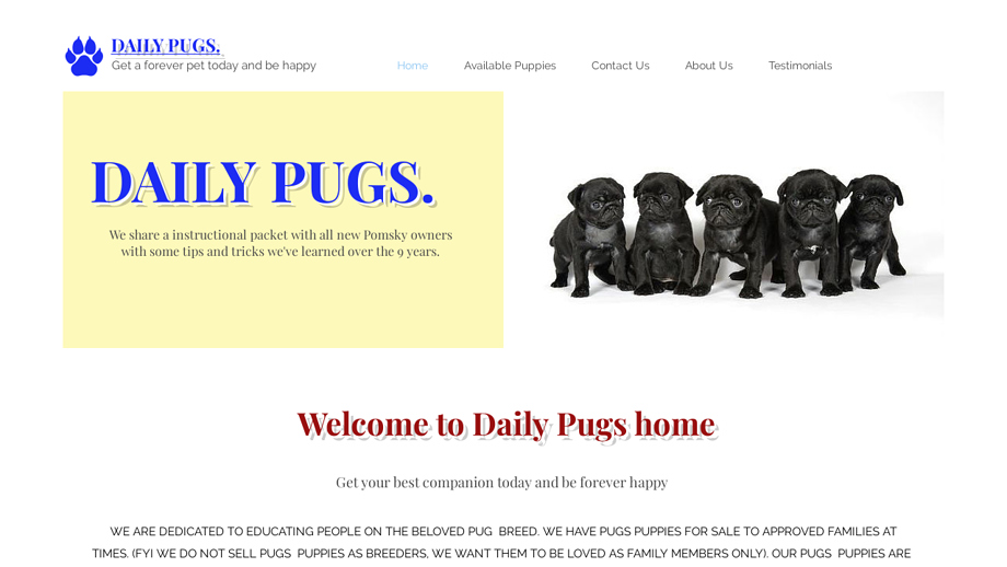 Dailypugshomes.net - Pug Puppy Scam Review