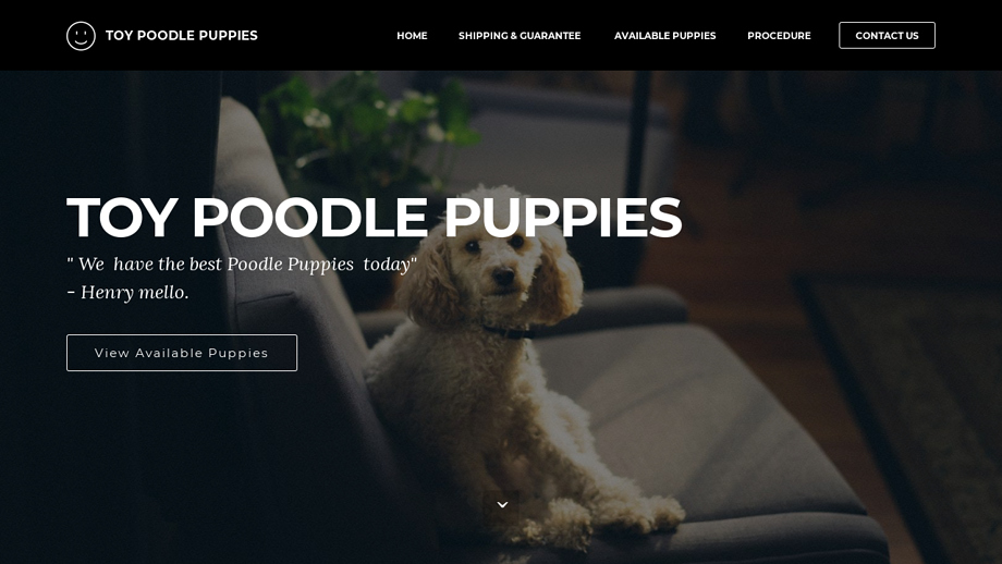 Darlingtoypoodles.com - Poodle Puppy Scam Review