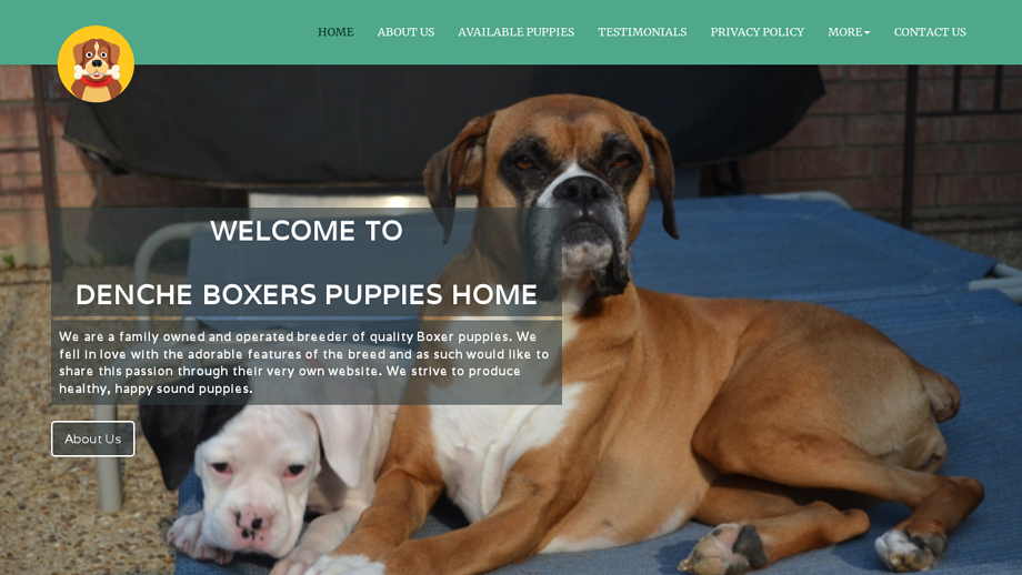 Dencheboxers.com - Boxer Puppy Scam Review