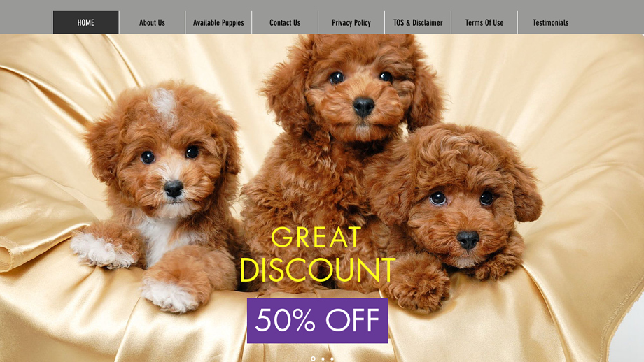 Dollypetshop.com - Cavapoo Puppy Scam Review