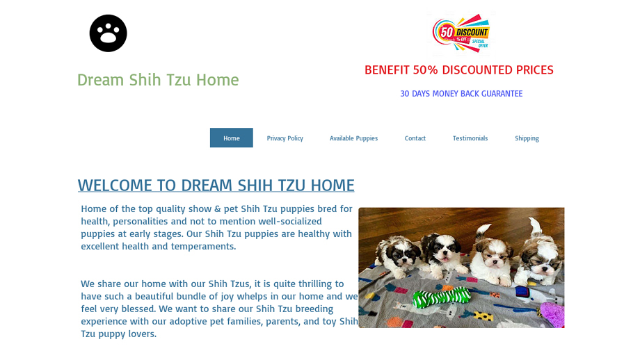 Dreamshihtzuhome.net - Shihtzu Puppy Scam Review