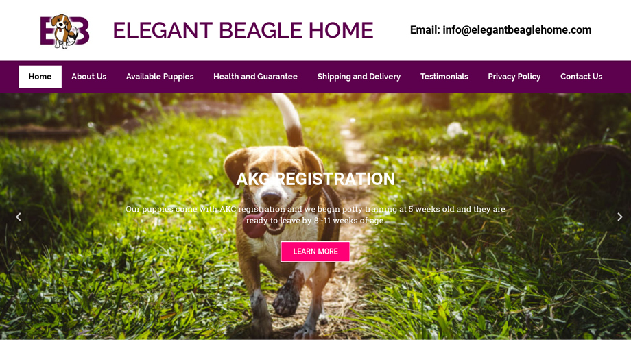 Elegantbeaglehome.com - Beagle Puppy Scam Review