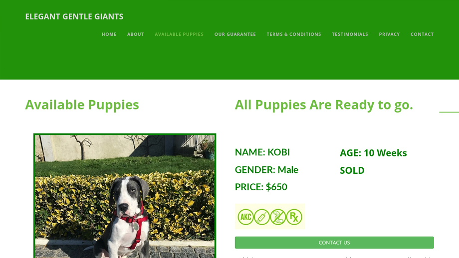 Elegantgdanes.com - Great Dane Puppy Scam Review