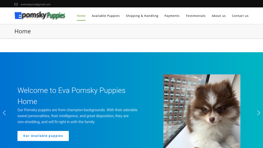 Evapomskypuppies.com - Pomeranian Puppy Scam Review