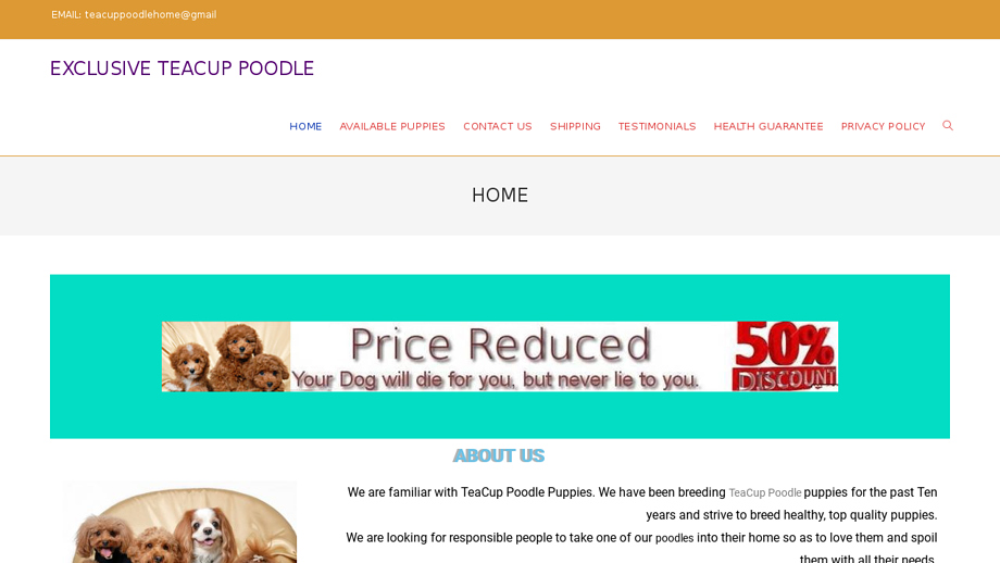 Exclusivepetshome.com - Poodle Puppy Scam Review