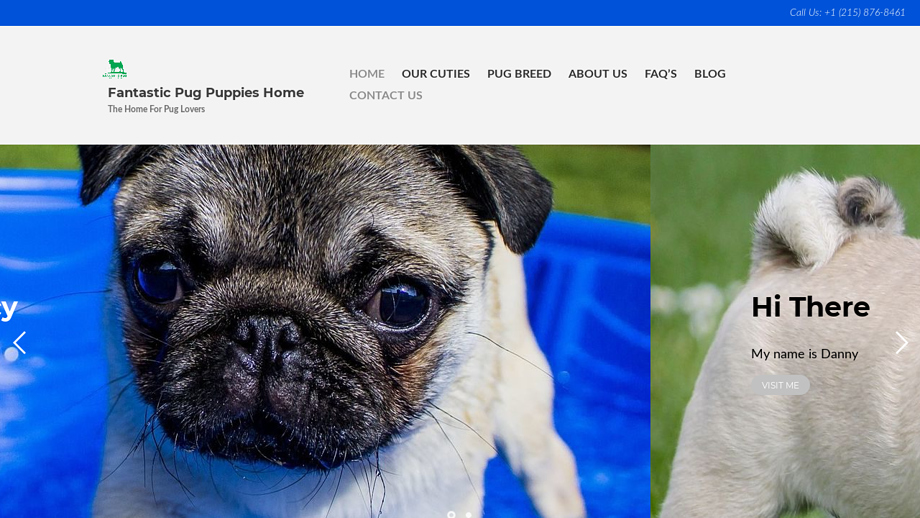 Fantastic-pug-puppies.com - Pug Puppy Scam Review