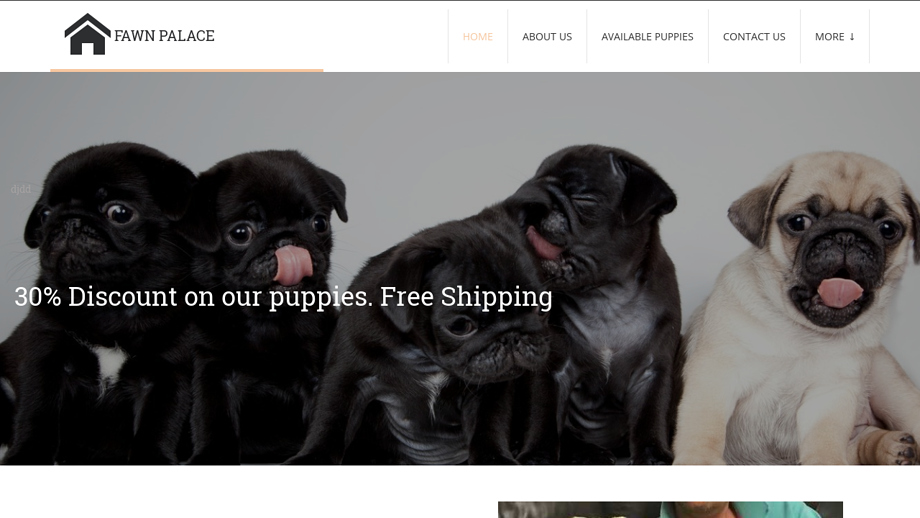 Fawnpalace.com - French Bulldog Puppy Scam Review