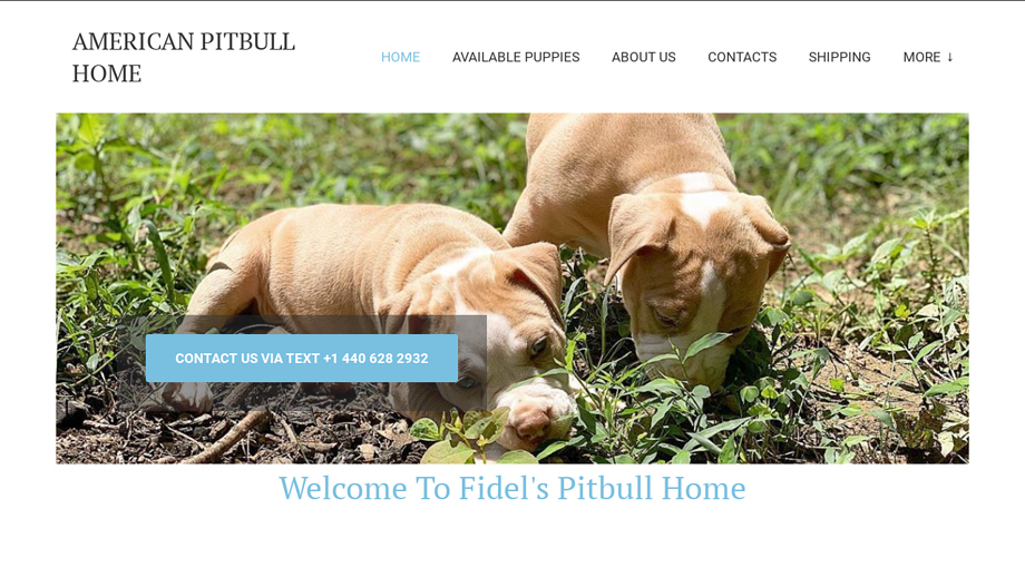 Fidelpittbullpuppieshome.com - Pit Bull Puppy Scam Review