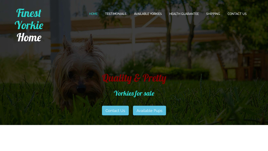 Finestyorkiehome.com - Yorkshire Terrier Puppy Scam Review