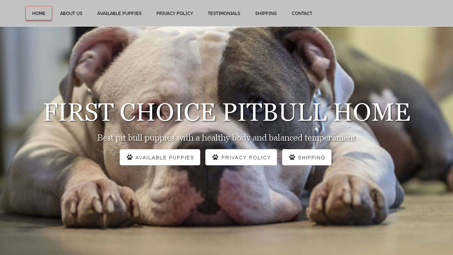 Firstchoicepitbulhome.com - Pit Bull Puppy Scam Review