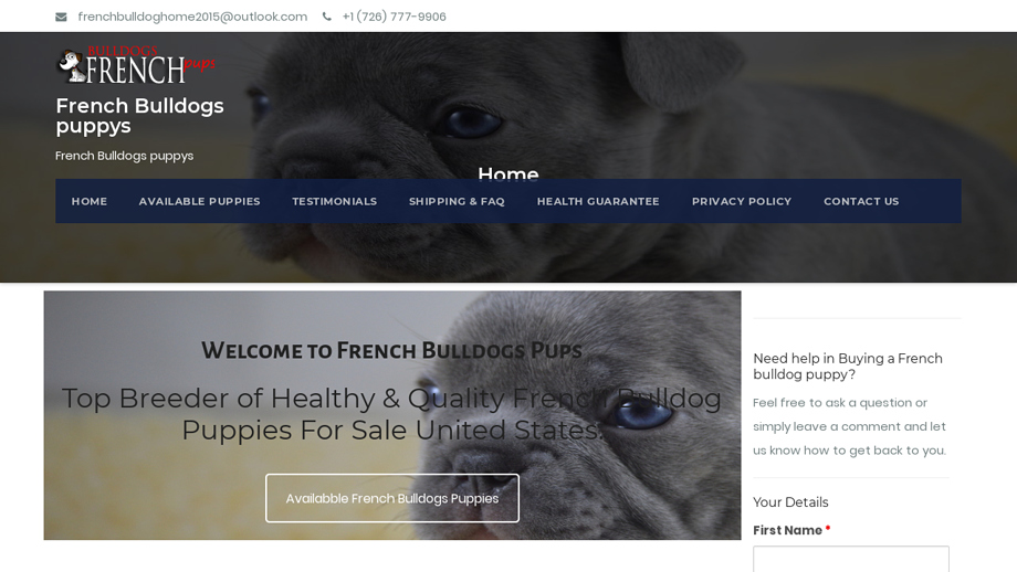 Frenchbulldogspups.com - French Bulldog Puppy Scam Review