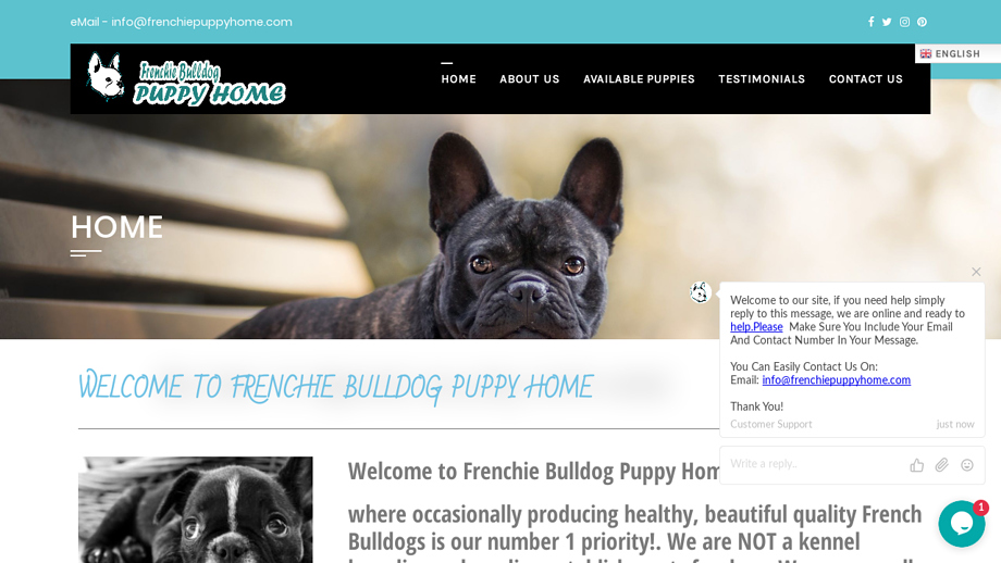 Frenchiepuppyhome.com - French Bulldog Puppy Scam Review