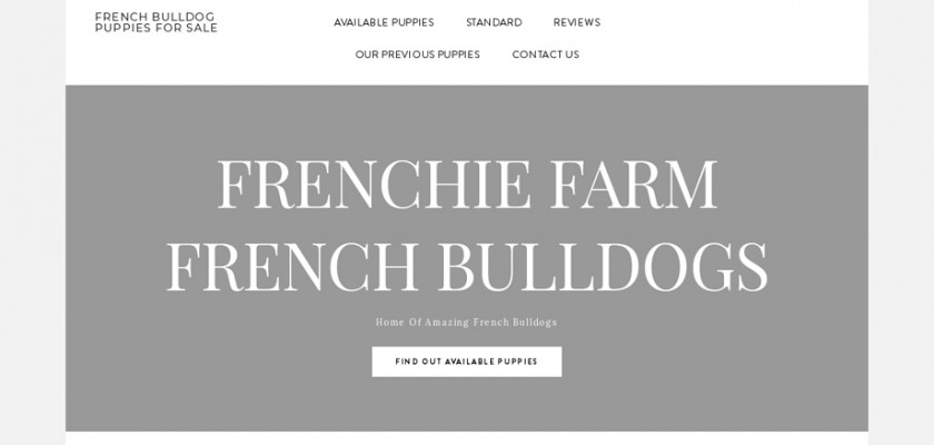 Frenchiesite.com - French Bulldog Puppy Scam Review