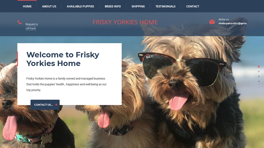 Friskyyorkieshome.com - Yorkshire Terrier Puppy Scam Review