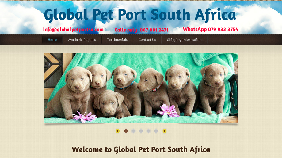 Globalpetportsa.com - French Bulldog Puppy Scam Review