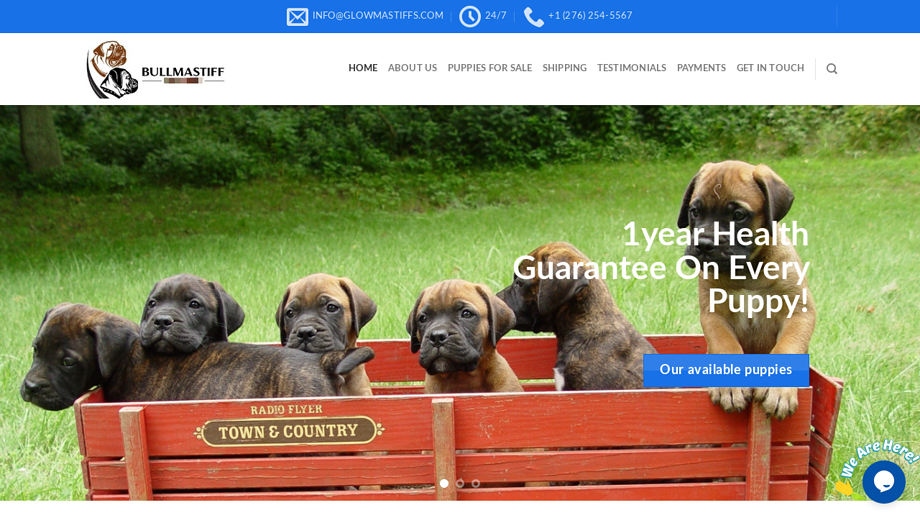 Glowmastiffs.com - Great Dane Puppy Scam Review