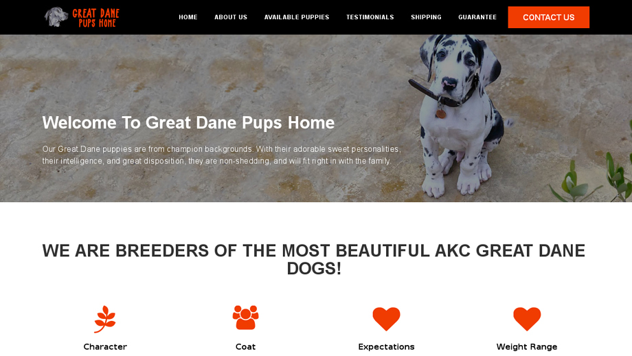 Greatdanepupshome.com - Great Dane Puppy Scam Review