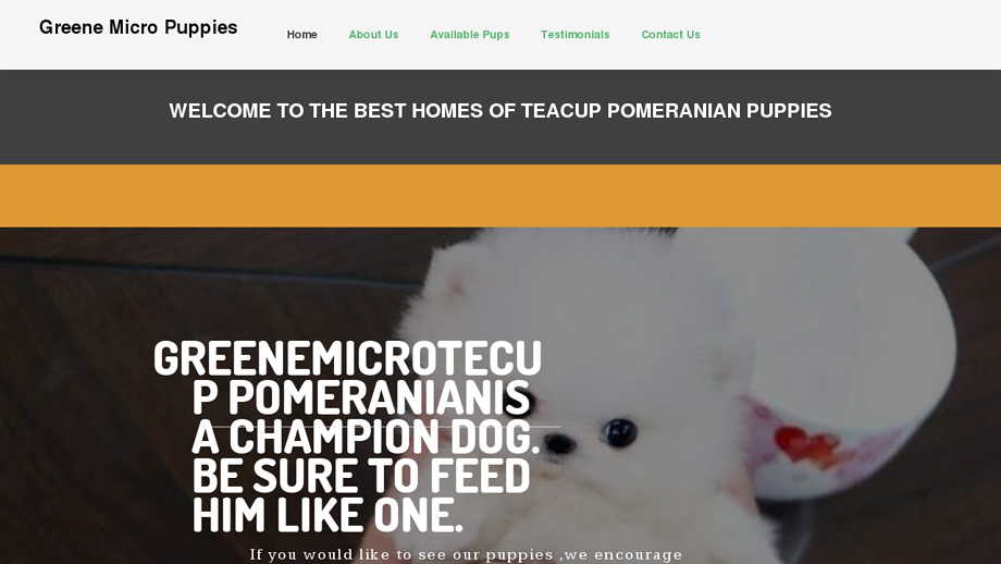 Greenemicropuppies.com - Pomeranian Puppy Scam Review