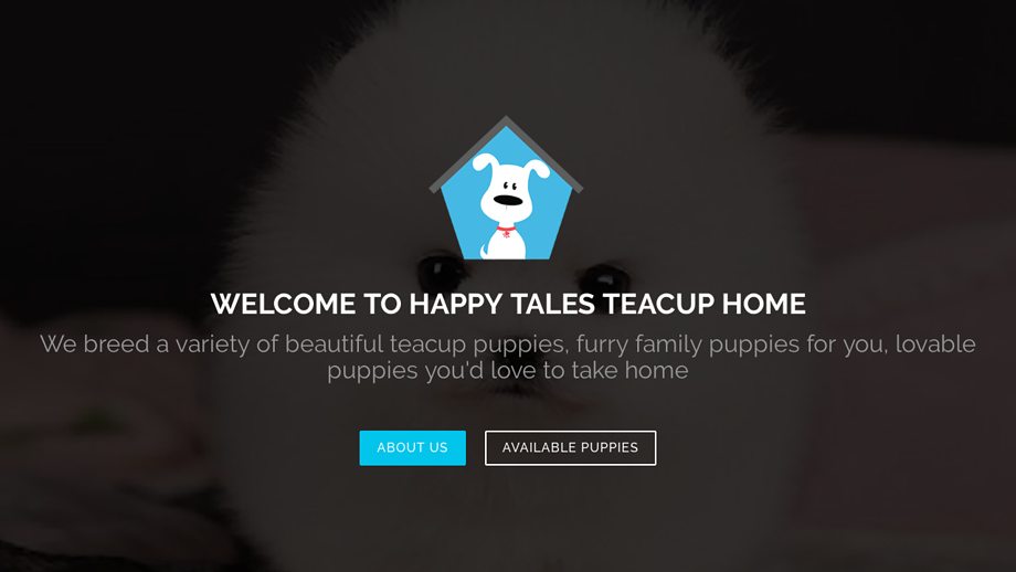 Happytalesteacuppuppies.com - Yorkshire Terrier Puppy Scam Review