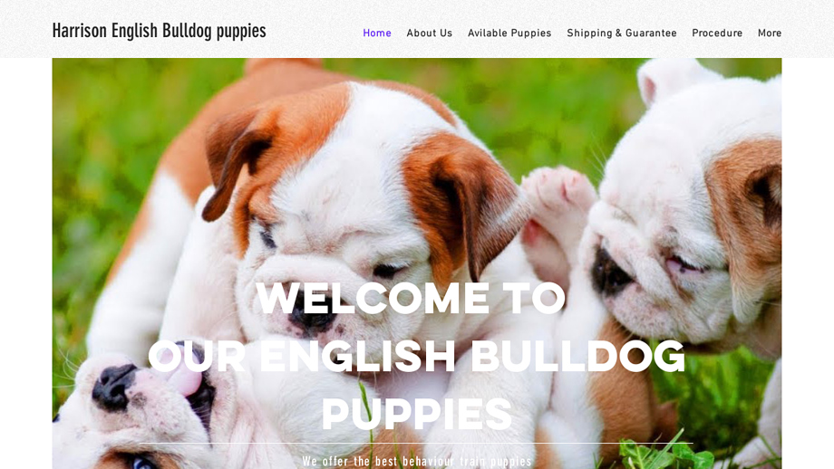 Healthybullhome.com - English Bulldog Puppy Scam Review