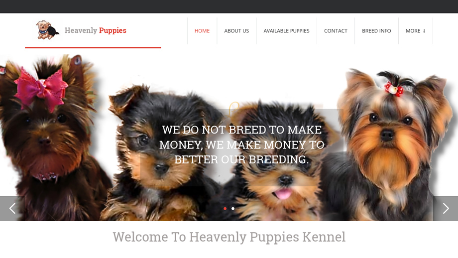 Heavenly-puppies.com - Yorkshire Terrier Puppy Scam Review