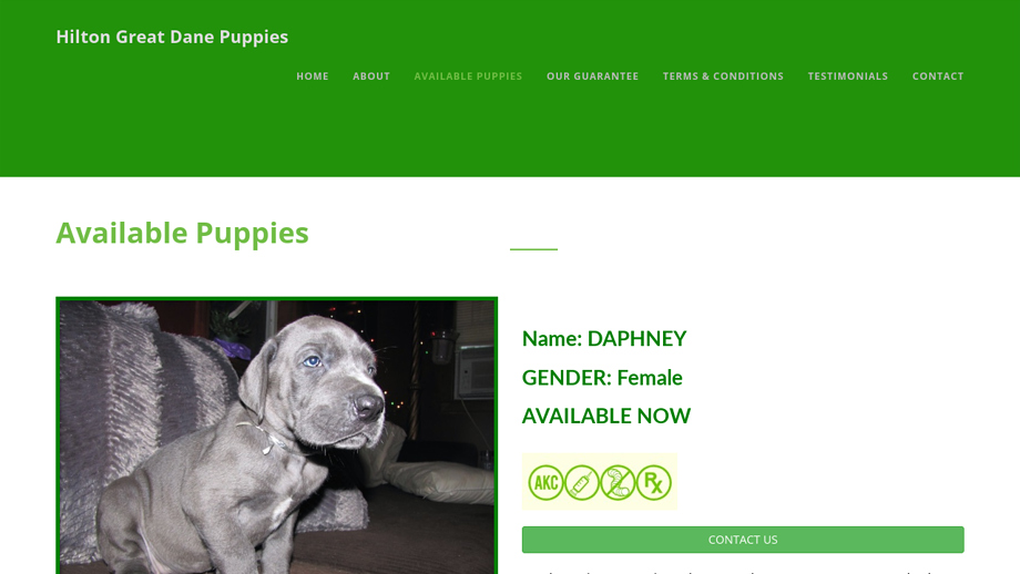 Hiltongreatdanepuppies.com - Great Dane Puppy Scam Review