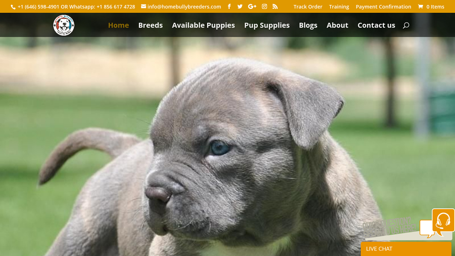 Homebullybreeders.com - Pit Bull Puppy Scam Review