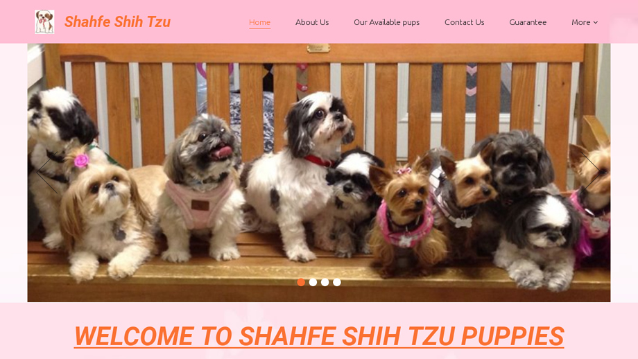 Homecuteshihtzus.com - Shihtzu Puppy Scam Review