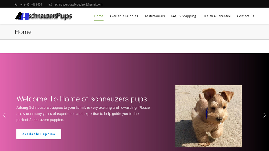 Homeofschnauzerspups.com - Schnauzer Puppy Scam Review