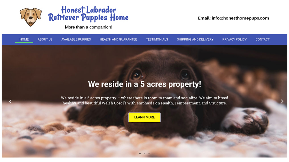 Honesthomepups.com - Golden Retriever Puppy Scam Review