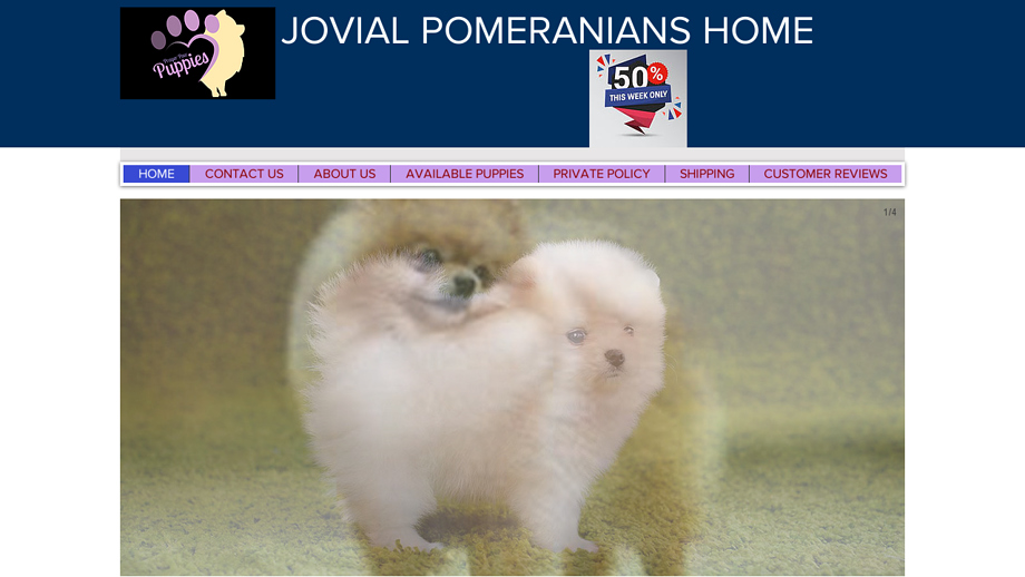 Jovialpomeranians.com - Pomeranian Puppy Scam Review