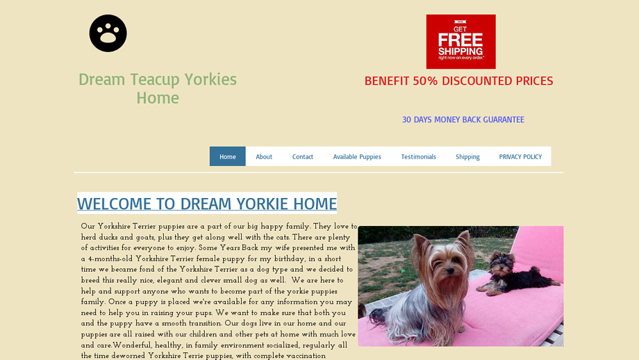 Jovialteacupyorkies.com - Yorkshire Terrier Puppy Scam Review