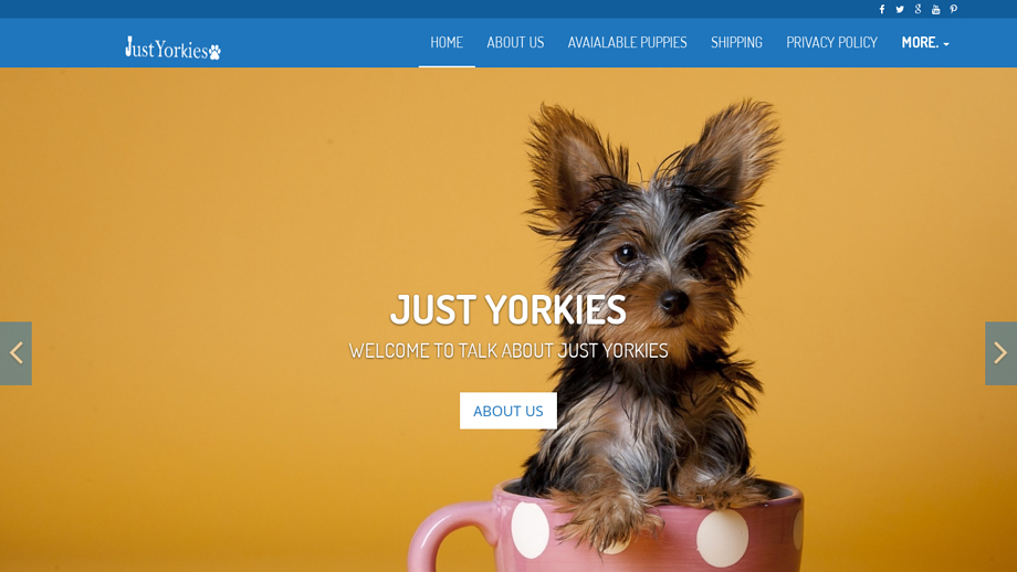 Justyorkiez.com - Yorkshire Terrier Puppy Scam Review