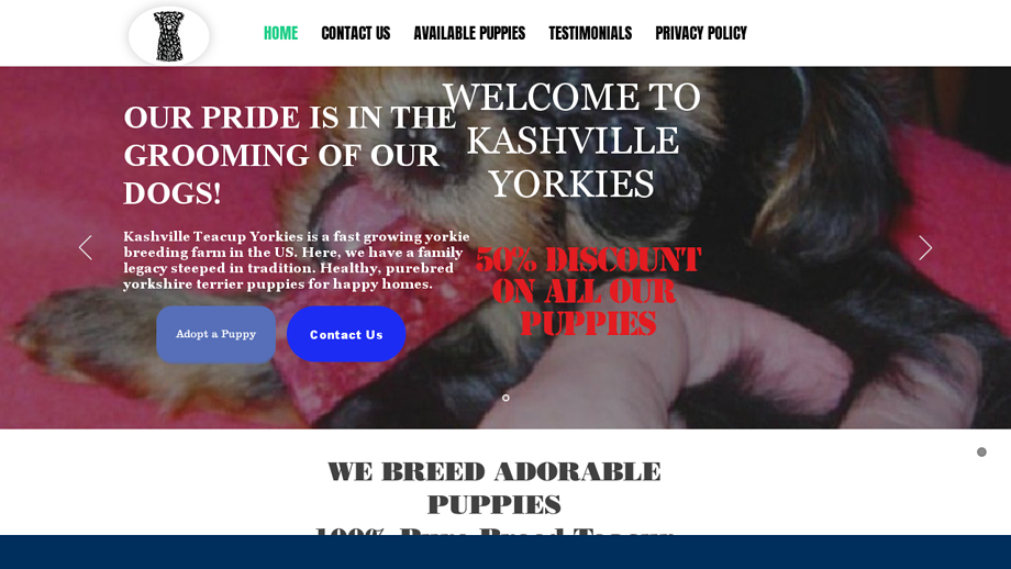 Kashvilleyorkies.com - Yorkshire Terrier Puppy Scam Review